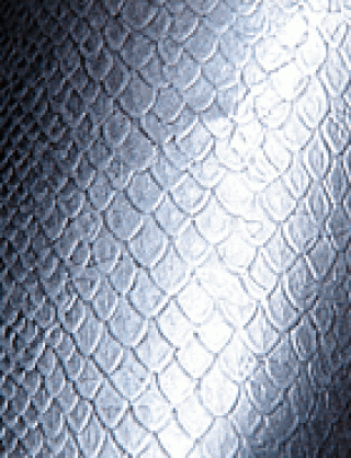 Struktur Latex Snake-2 Silver